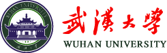 武汉大学智慧水业研究所.